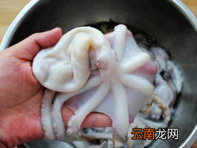 八爪鱼怎么清理
