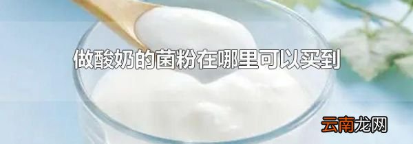 做酸奶的菌粉在哪里可以买到