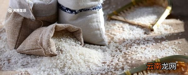 大米生小黑虫怎么办该怎么处理 大米里有小黑虫怎么办