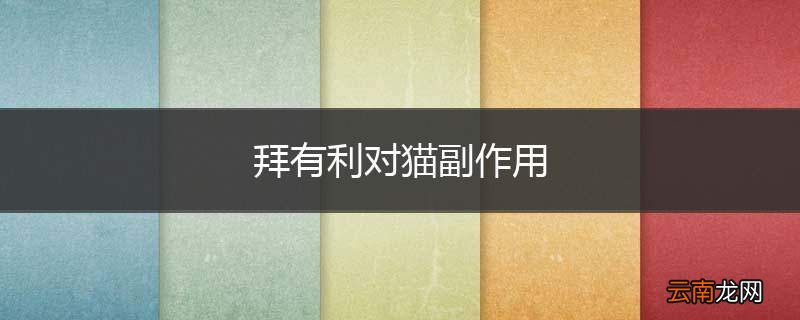 拜有利对猫副作用