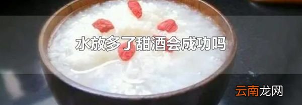 水放多了甜酒会成功吗