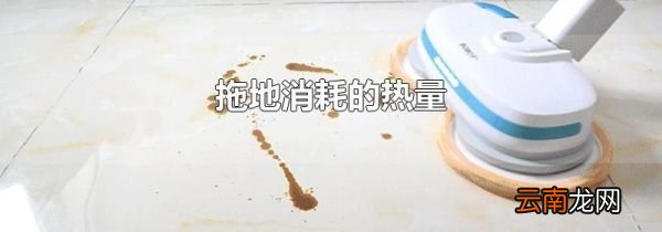 拖地消耗的热量