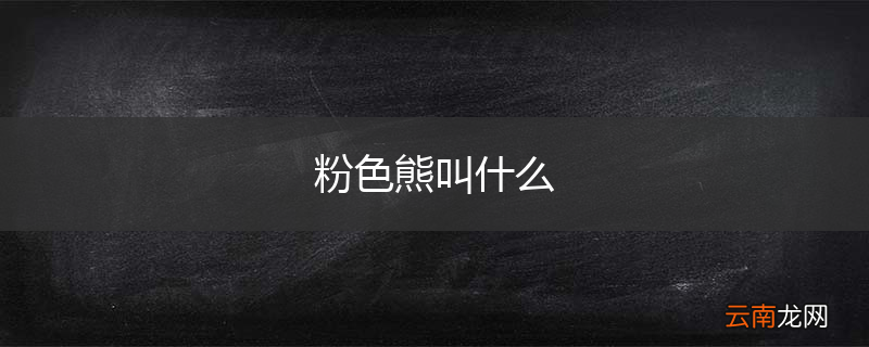 粉色熊叫什么