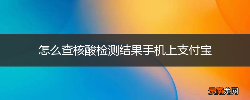 怎么查核酸检测结果手机上支付宝