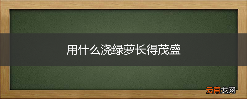 用什么浇绿萝长得茂盛