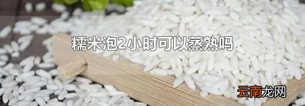 糯米泡2小时可以蒸熟吗