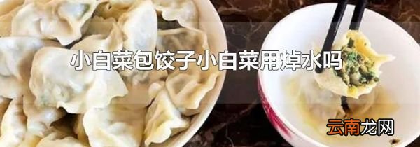 小白菜包饺子小白菜用焯水吗