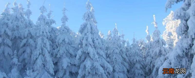 阵雪大还是小雪大