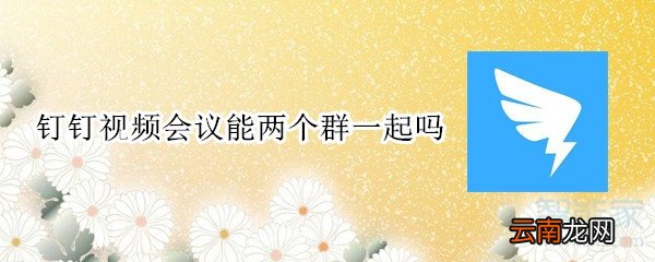 钉钉视频会议能两个群一起吗