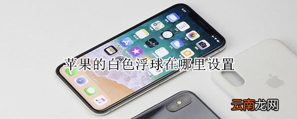 苹果的白色浮球在哪里设置