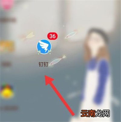 钉钉怎么开视频会议