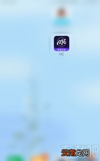 MEapp设置隐身在线的方法