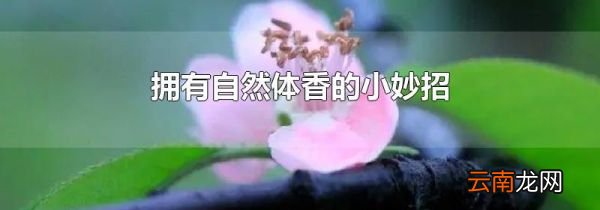 拥有自然体香的小妙招