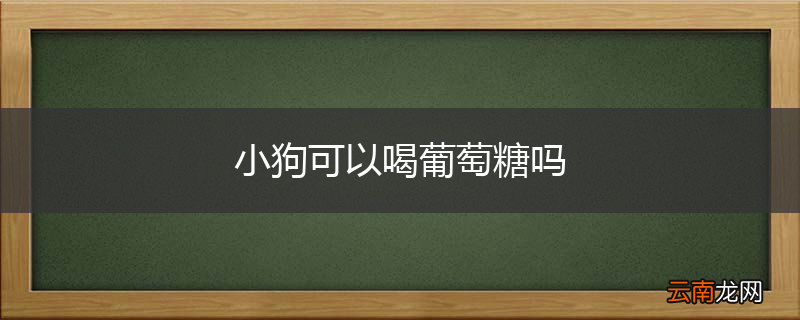 小狗可以喝葡萄糖吗