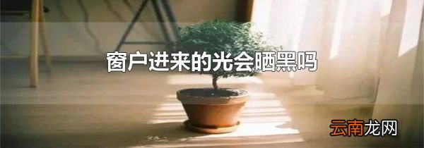 窗户进来的光会晒黑吗