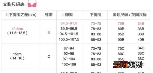 内衣尺码对照表 女性如何测量内衣尺码?
