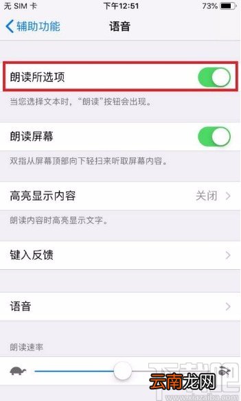 苹果手机开启朗读所选项的方法