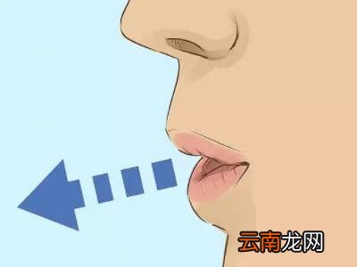 初学者怎么吹口哨用嘴