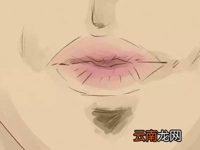 初学者怎么吹口哨用嘴