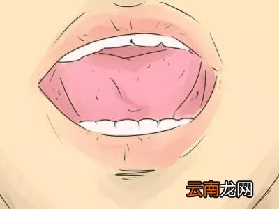 初学者怎么吹口哨用嘴