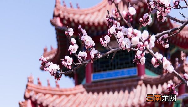 陌上花开 可缓缓归矣什么意思陌上花开可缓缓归矣怎么解释