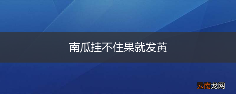 南瓜挂不住果就发黄