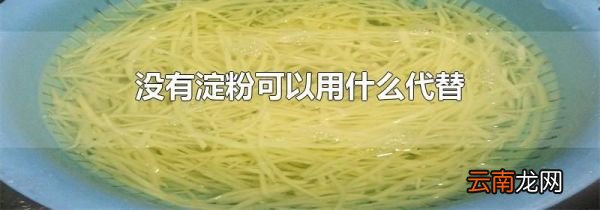 没有淀粉可以用什么代替