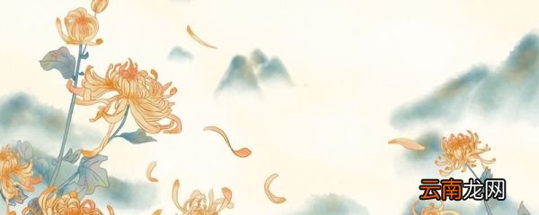 九月九日忆山东兄弟中山东指什么 《九月九日忆山东兄弟》原文