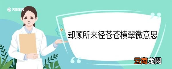 却顾所来径苍苍横翠微意思 却顾所来径苍苍横翠微翻译