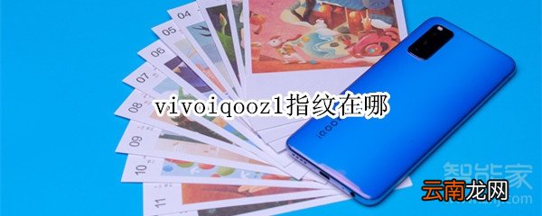 vivoiqooz1指纹在哪