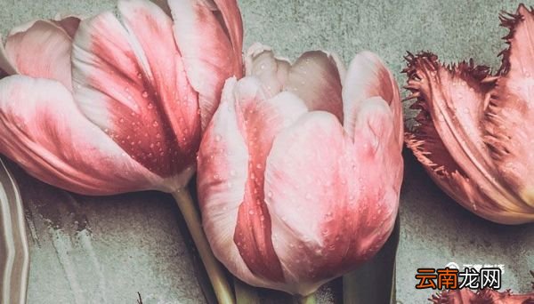 毕业留言 毕业给同学留言