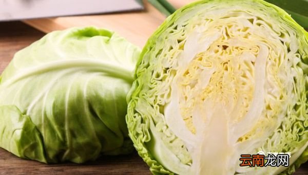 绿甘蓝和圆白菜的区别 绿甘蓝和圆白菜的区别是什么