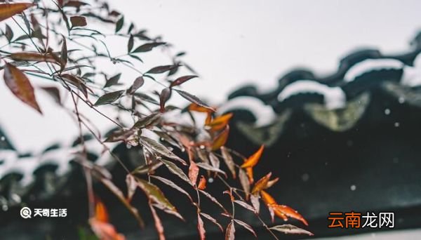 雨水是酸性还是碱性 雨是酸性吗