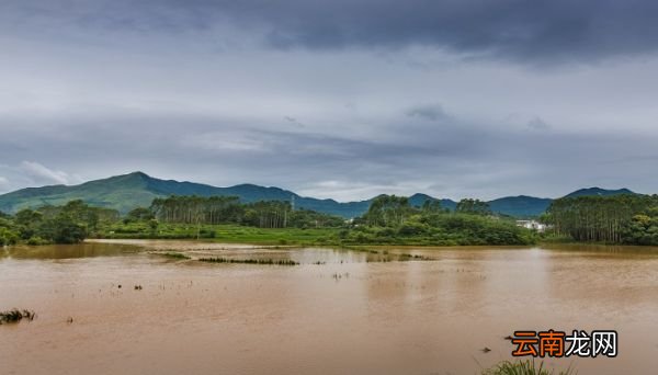 雨水是酸性还是碱性 雨是酸性吗