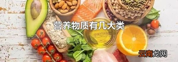 营养物质有几大类