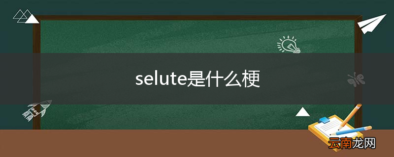 selute是什么梗