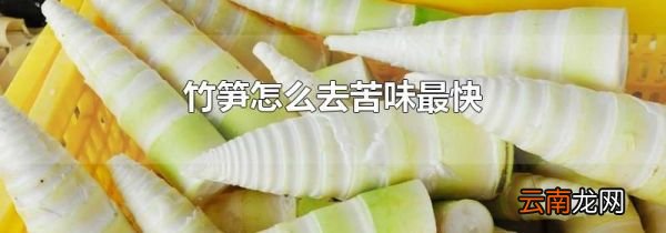 竹笋怎么去苦味最快