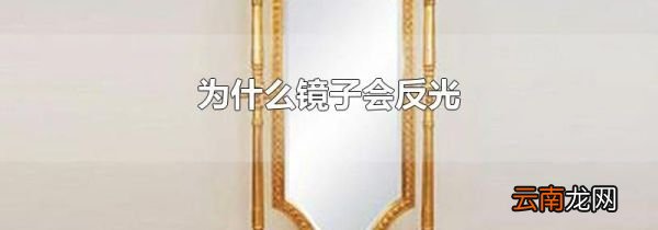为什么镜子会反光
