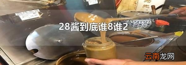 28酱到底谁8谁2