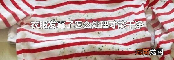 衣服发霉了怎么处理才能干净