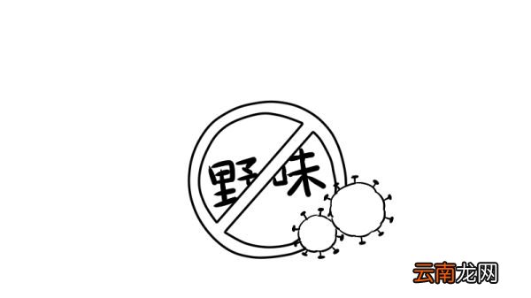 禁止吃野味简笔画怎么画禁止吃野味简笔画画法