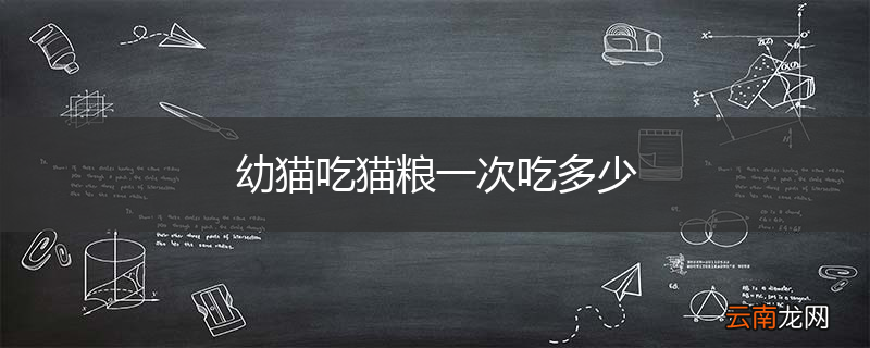 幼猫吃猫粮一次吃多少