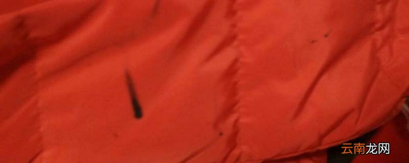 笔画到羽绒服上如何洗掉