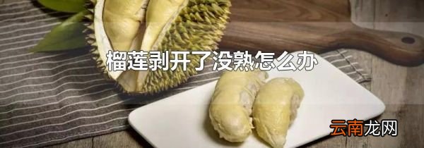 榴莲剥开了没熟怎么办
