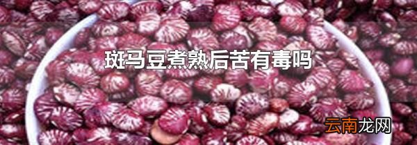 斑马豆煮熟后苦有毒吗