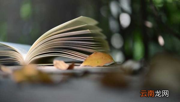 与厚相对的词语 与厚相对的词语是什么