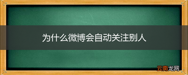 为什么微博会自动关注别人