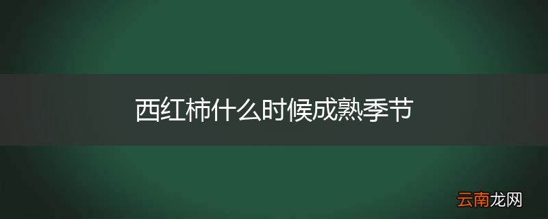 西红柿什么时候成熟季节