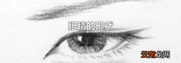 眼睛的形状