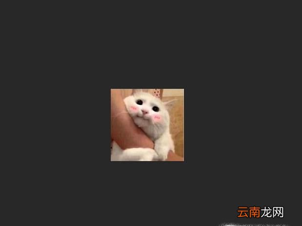 如何在图片上加水印